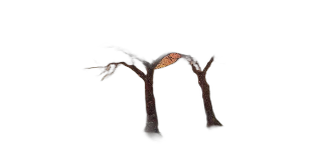 tree, hair, staff, creature, concept art, 3d render, photorealistic, fantasy art transparent PNG cut-out