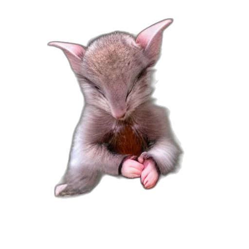 animal, food, staff, creature, photorealistic, 3d render, concept art, oil painting transparent PNG cut-out