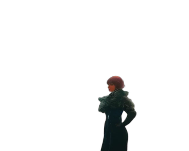 dress, jacket, staff, hat transparent PNG cut-out