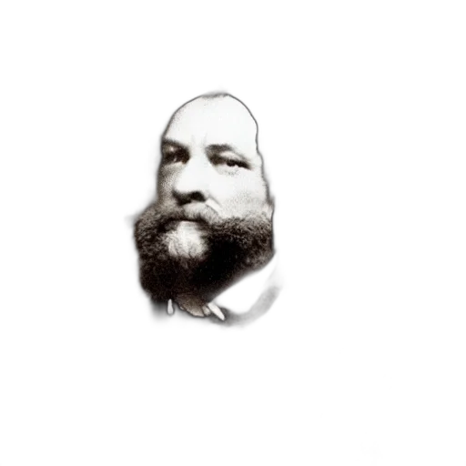 staff, face, animal, hair, photorealistic, pencil sketch, george, crushington transparent PNG cut-out