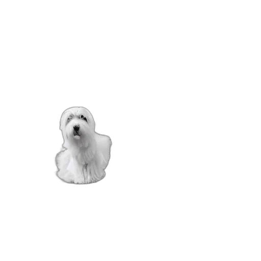 animal, creature, face, staff, photorealistic, pixel art, 3d render, concept art transparent PNG cut-out