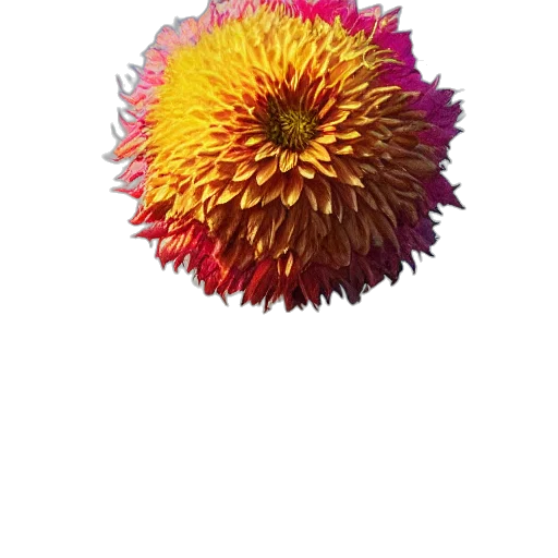 flower, crown, staff, hair, 3d render, photorealistic, concept art, watercolor transparent PNG cut-out