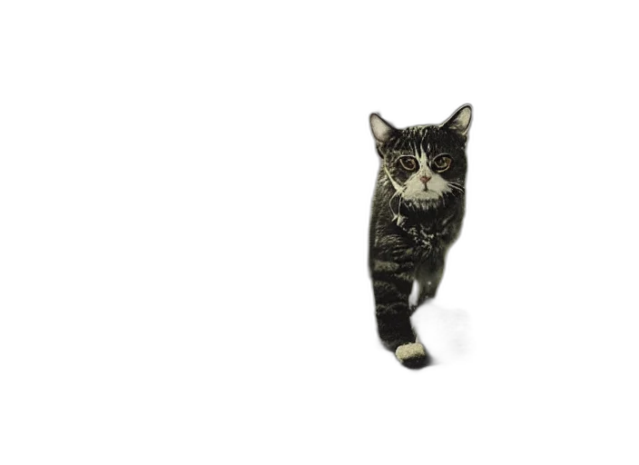 animal, staff, creature, weapon transparent PNG cut-out