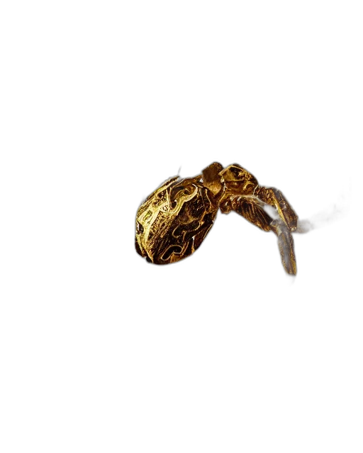 jewelry, crown, staff, weapon transparent PNG cut-out