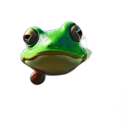 animal, creature, face, staff transparent PNG cut-out