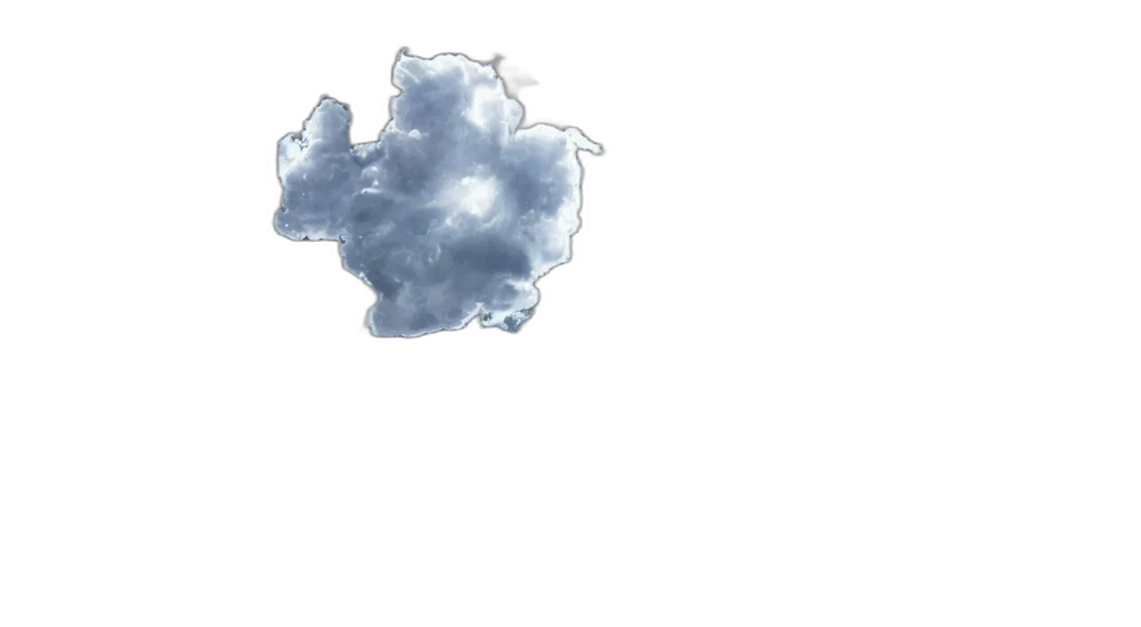 crown, dragon, hair, flower transparent PNG cut-out