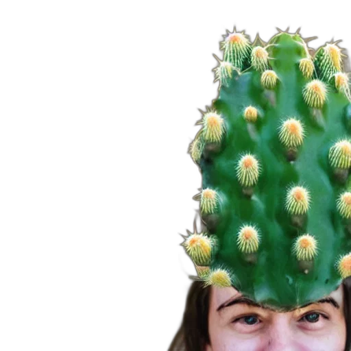hat, crown, creature, hair transparent PNG cut-out