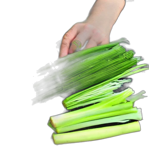 staff, weapon, food, sword, 3d render, photorealistic, concept art, green transparent PNG cut-out
