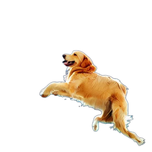 animal, creature, shoes, staff, watercolor, photorealistic, pixel art, 3d render transparent PNG cut-out
