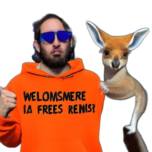 animal, portrait, photo, kangaroo transparent PNG cut-out