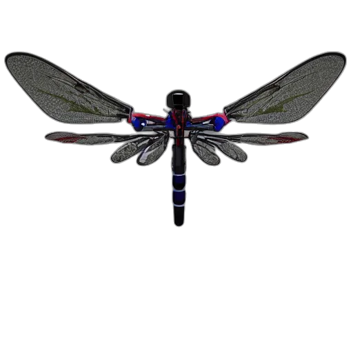 umbrella, weapon, staff, dragon transparent PNG cut-out