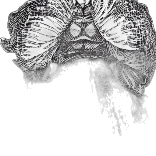 mask, creature, jacket, face transparent PNG cut-out