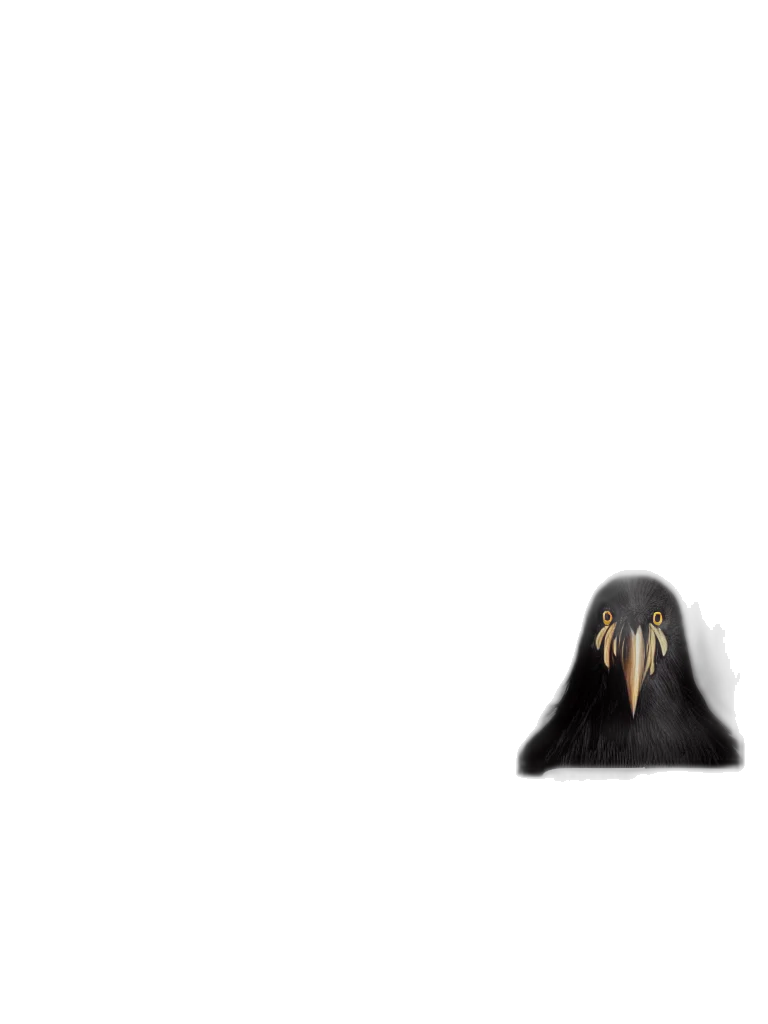 mask, hair, creature, face transparent PNG cut-out