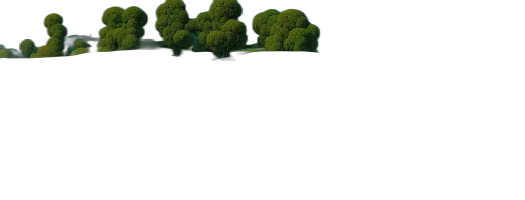 tree, furniture, crown, animal transparent PNG cut-out