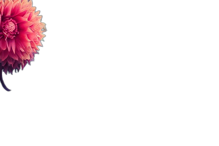 flower, staff, crown, umbrella, pixel art, 3d render, photorealistic, concept art transparent PNG cut-out