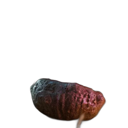 animal, food, creature, hat, photorealistic, 3d render, concept art, oil painting transparent PNG cut-out