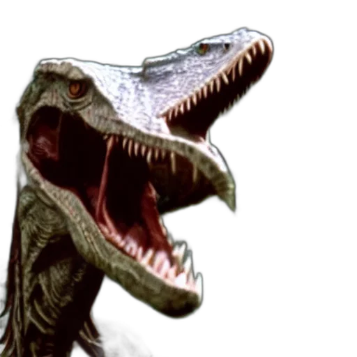 creature, animal, dragon, face transparent PNG cut-out