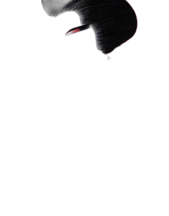 animal, hat, staff, crown transparent PNG cut-out