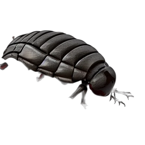 animal, creature, crown, jacket, 3d render, concept art, cute, robotic transparent PNG cut-out