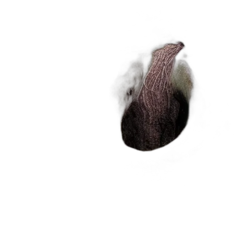 hair, hat, animal, creature, photorealistic, 3d render, concept art, pixel art transparent PNG cut-out