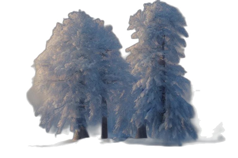 tree, crown, jacket, dress transparent PNG cut-out