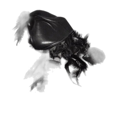 mask, creature, hat, animal, concept art, photorealistic, fantasy art, 3d render transparent PNG cut-out
