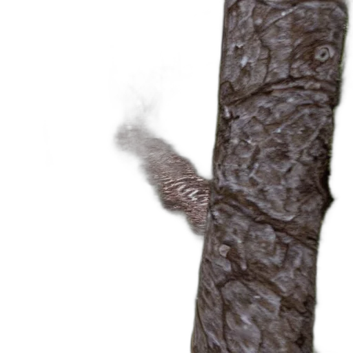 tree, animal, staff, creature transparent PNG cut-out