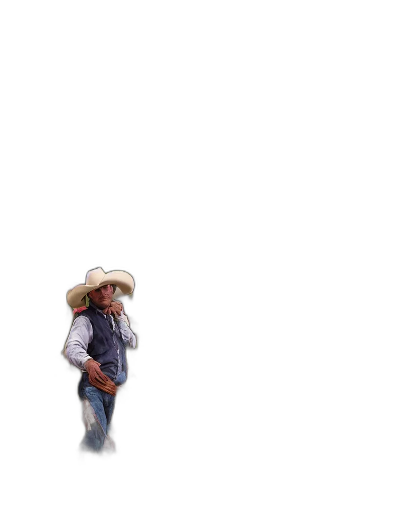 hat, staff, jacket, hair transparent PNG cut-out