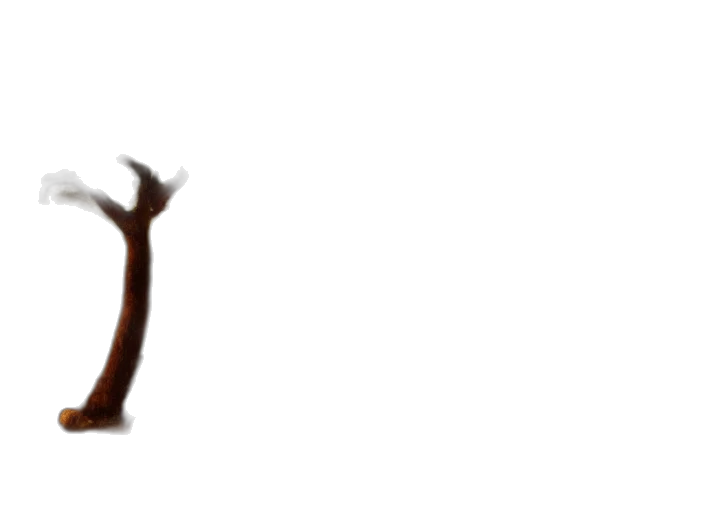 staff, crown, furniture, jewelry transparent PNG cut-out