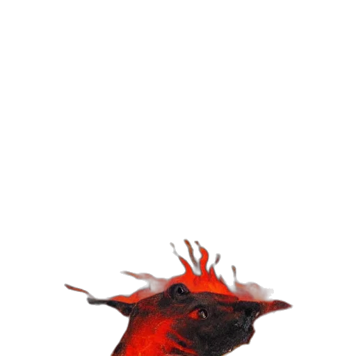 dragon, mask, creature, animal, concept art, 3d render, photorealistic, fantasy art transparent PNG cut-out