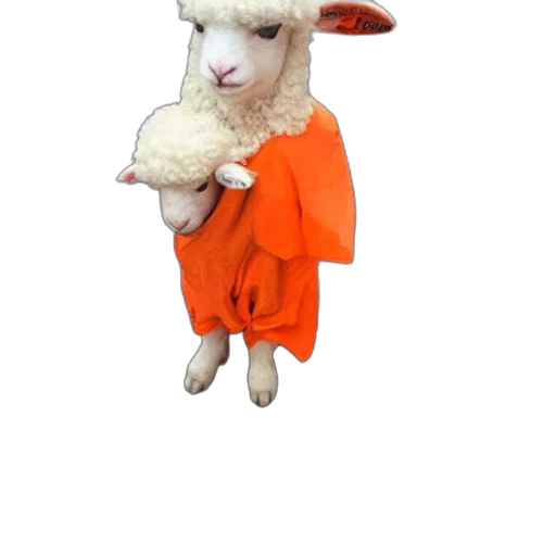 animal, dress, creature, 3d render, pixel art, cute, little, sheep transparent PNG cut-out