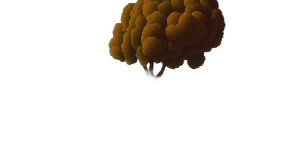 crown, tree, hat, hair transparent PNG cut-out