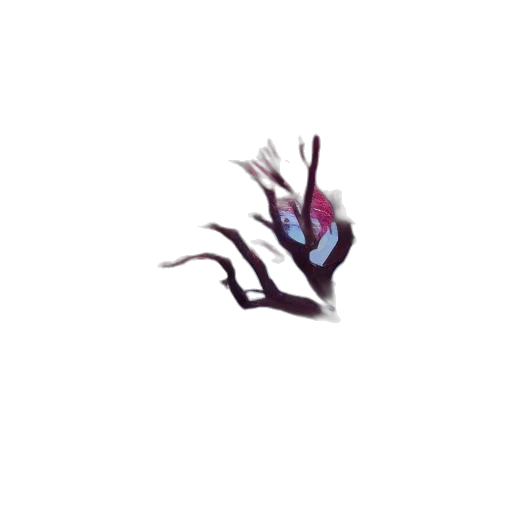 creature, dragon, crown, hair transparent PNG cut-out