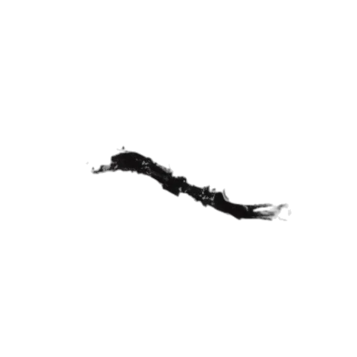 hair, dragon, staff, animal, pixel art, concept art, photorealistic, 3d render transparent PNG cut-out