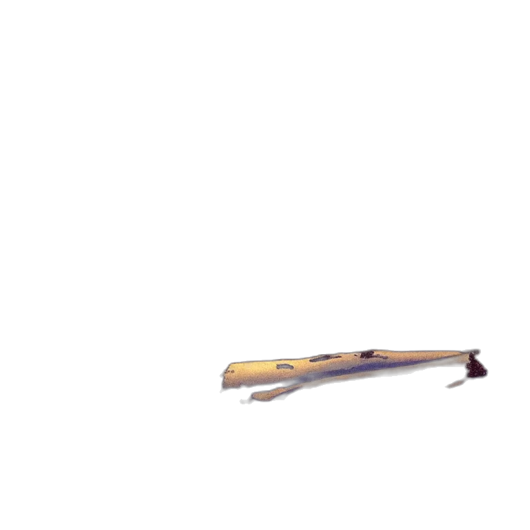 staff, weapon, sword, hair transparent PNG cut-out