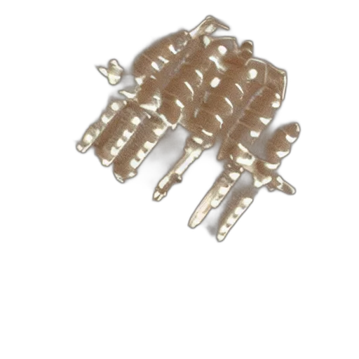 jewelry, crown, furniture, hair transparent PNG cut-out