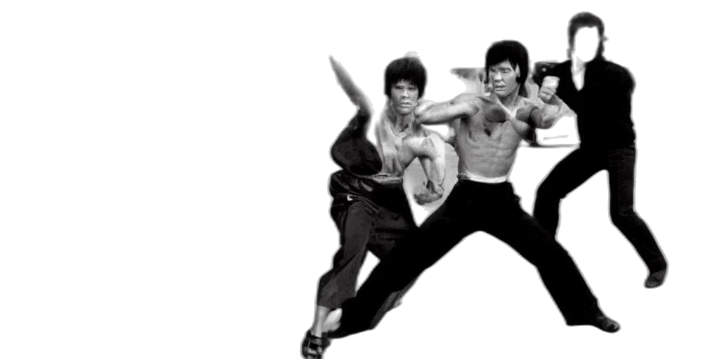 bruce, lee, street, fight transparent PNG cut-out