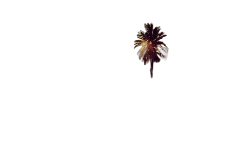 tree, hair, umbrella, staff transparent PNG cut-out