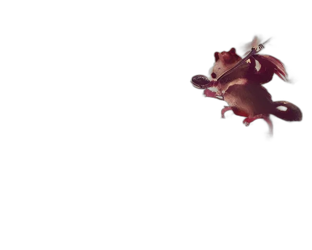 dragon, creature, animal, weapon transparent PNG cut-out