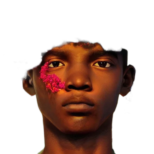 face, mask, crown, flower, photorealistic, concept art, 3d render, fantasy art transparent PNG cut-out
