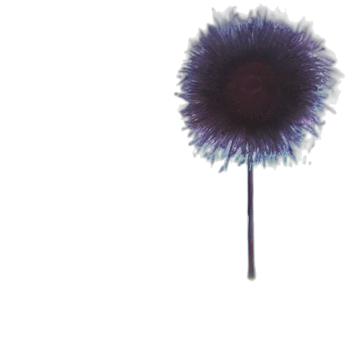 flower, staff, umbrella, hair transparent PNG cut-out