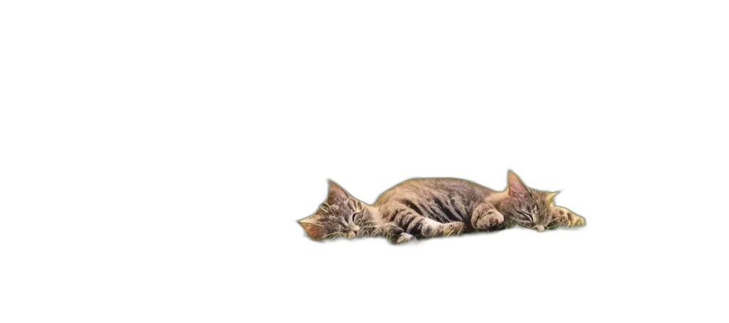 animal, staff, creature, furniture transparent PNG cut-out