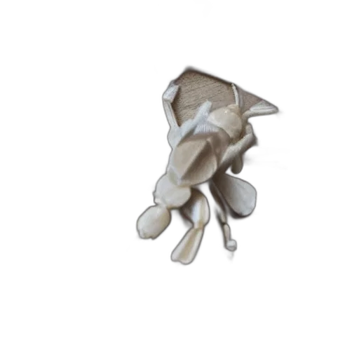 jewelry, umbrella, flower, mask transparent PNG cut-out