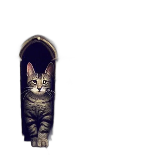 animal, staff, shoes, bottle, pixel art, photorealistic, concept art, 3d render transparent PNG cut-out