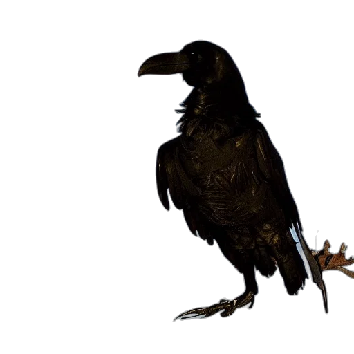 animal, creature, dragon, weapon, concept art, photorealistic, 3d render, fantasy art transparent PNG cut-out
