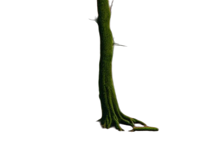 staff, weapon, tree, sword, concept art, 3d render, photorealistic, pixel art transparent PNG cut-out