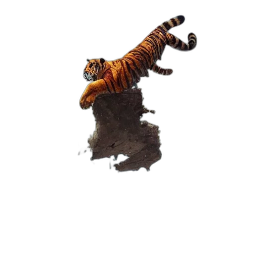 animal, creature, dragon, hair transparent PNG cut-out