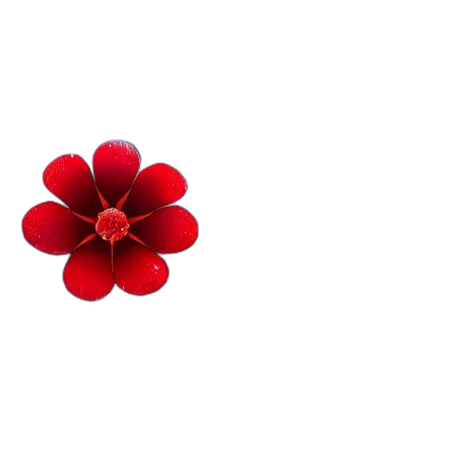 flower, jewelry, crown, umbrella transparent PNG cut-out