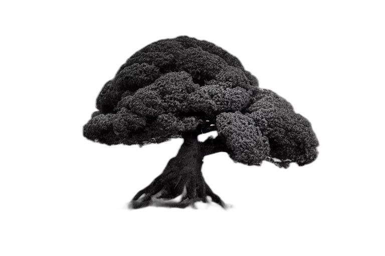 tree, crown, hair, food, photorealistic, 3d render, concept art, pixel art transparent PNG cut-out