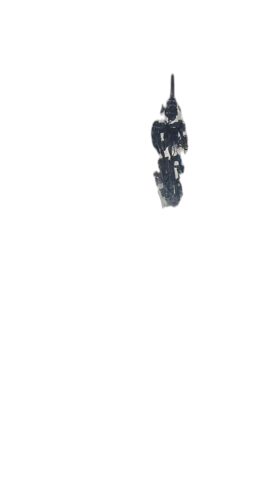 jewelry, staff, shoes, hair transparent PNG cut-out